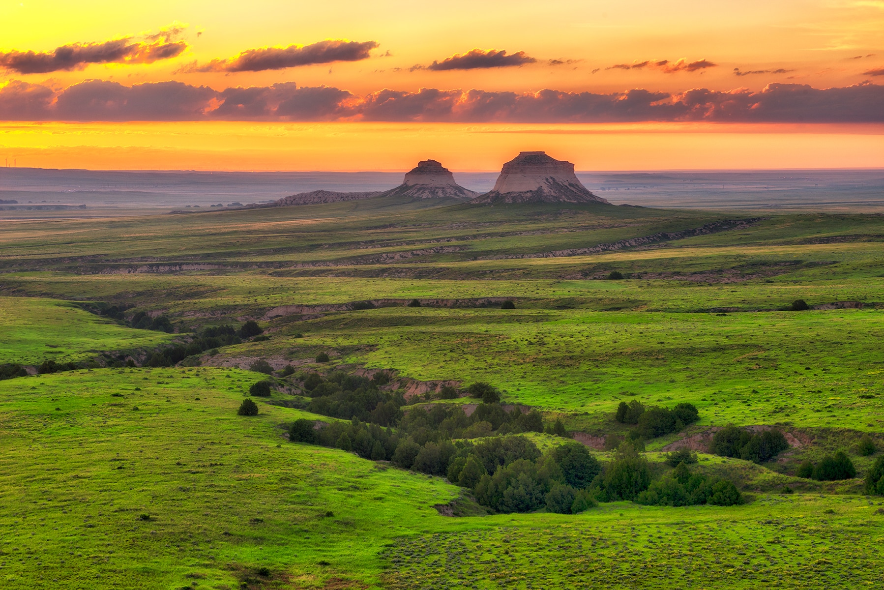Spring comes happily to the Pawnee Buttes and the grasslands after good winter snows feed the soil.