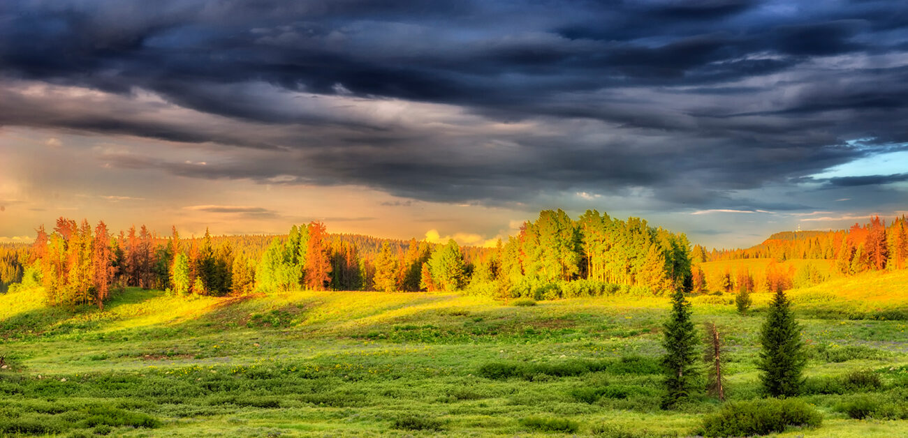 Retirement planning in Boulder, CO for individuals turning accumulated wealth into a coordinated financial plan.