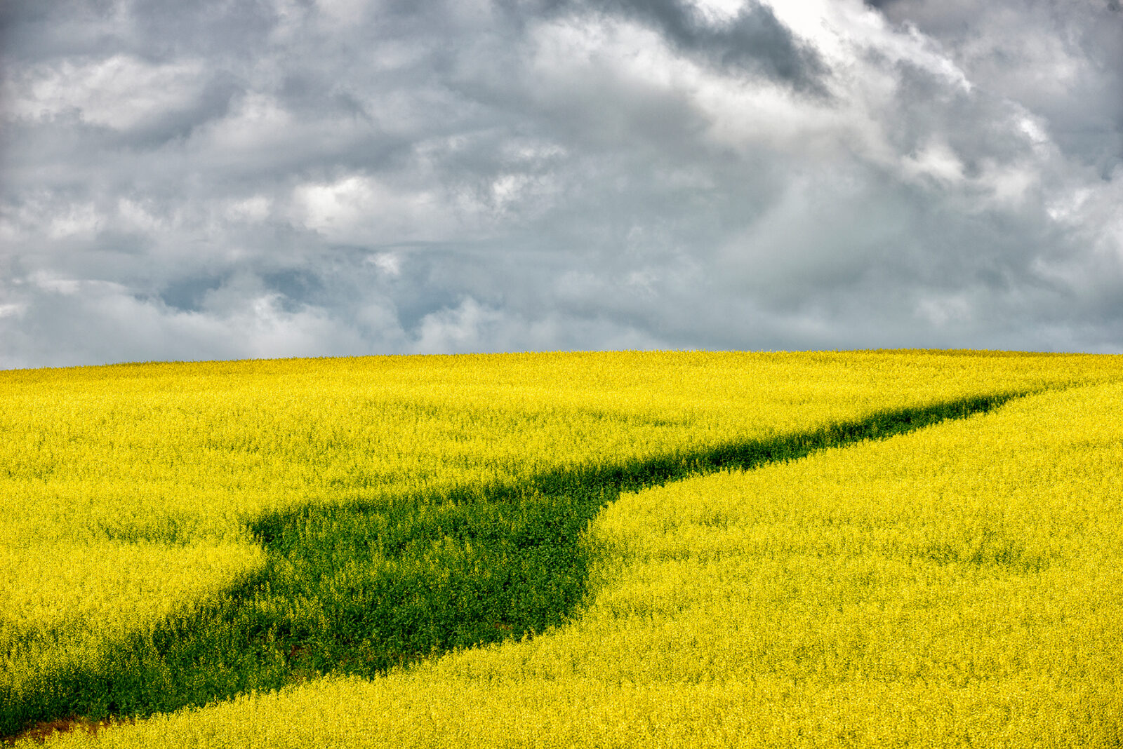 Scenic natural landscape representing a long-term perspective on market volatility, retirement planning, and financial stability.