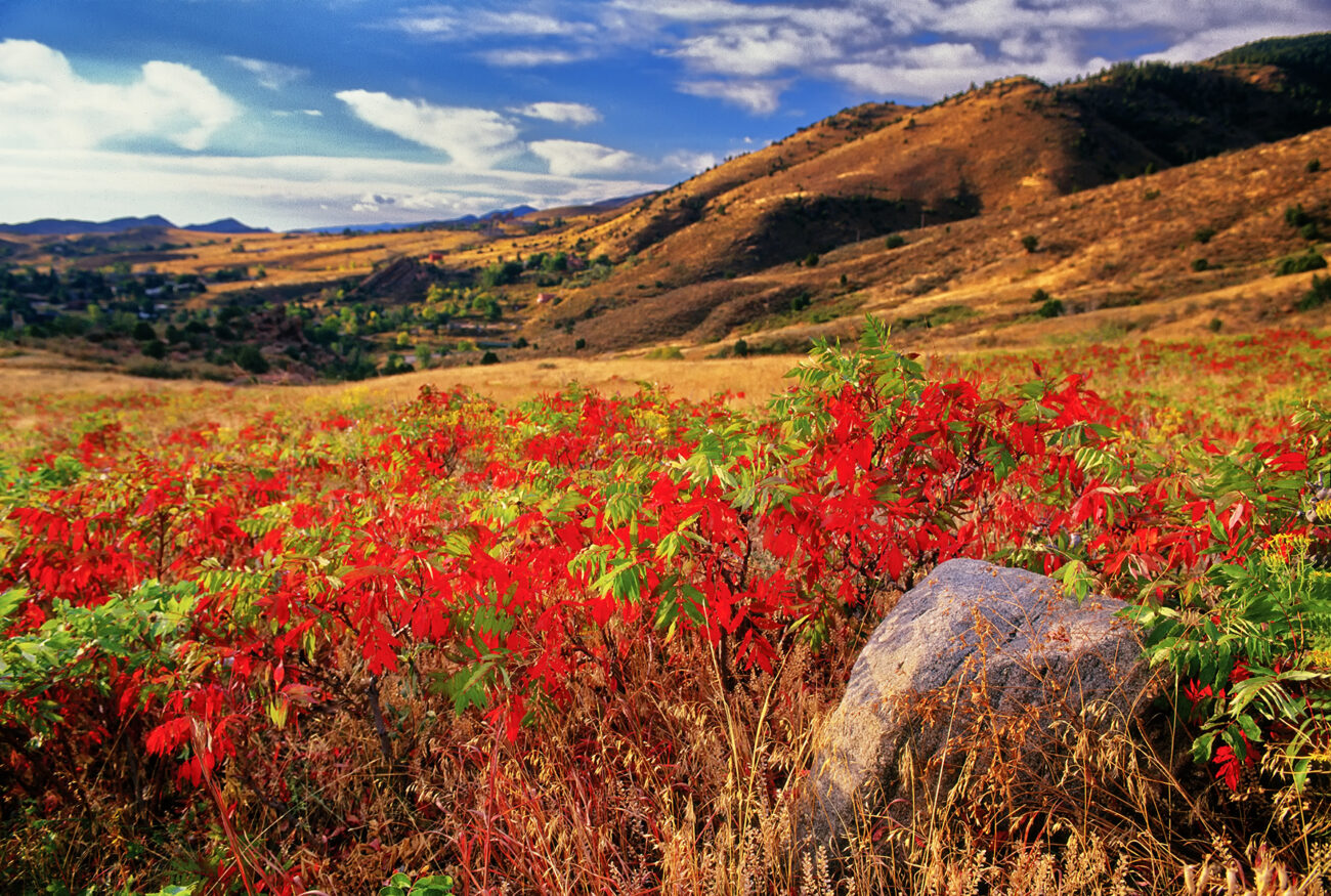 Scenic landscape symbolizing the financial planning journey, representing strategies involving Family Limited Partnerships, inherited Health Savings Accounts (HSAs), divorce financial planning, tax considerations, estate planning, and long-term wealth management decisions.
